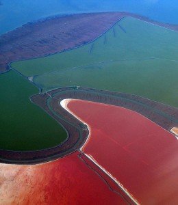 red colored Salt ponds of South Bay, SF