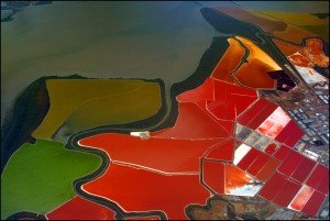 multi-colored San Francisco Bay Salt Ponds