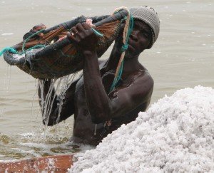 a salt collector scoops salt out of Lake Retba