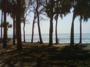 Hunting Island State Park beachfront campsite