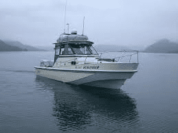 boat in the fog