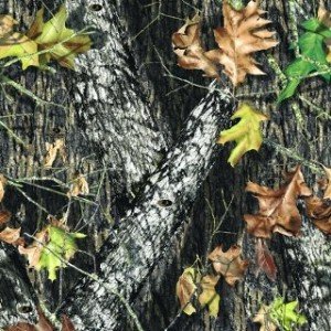 mossy oak break up pattern